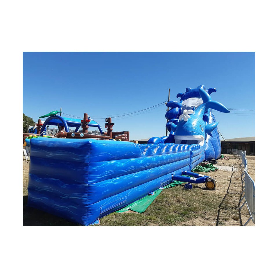 Aufblasbare Wasserrutsche Wal - 18605 - 5-cover Aufblasbare Wasserrutsche Wal - 18605 - 5-cover