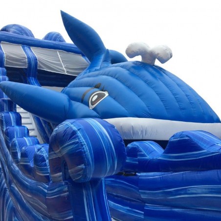 Aufblasbare Wasserrutsche Wal Gebraucht - 21659 - 3-cover