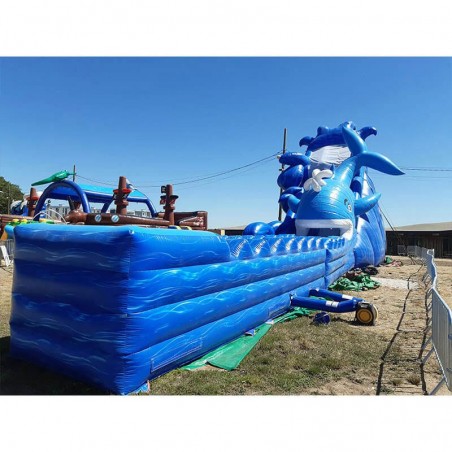 Aufblasbare Wasserrutsche Wal Gebraucht - 21660 - 5-cover