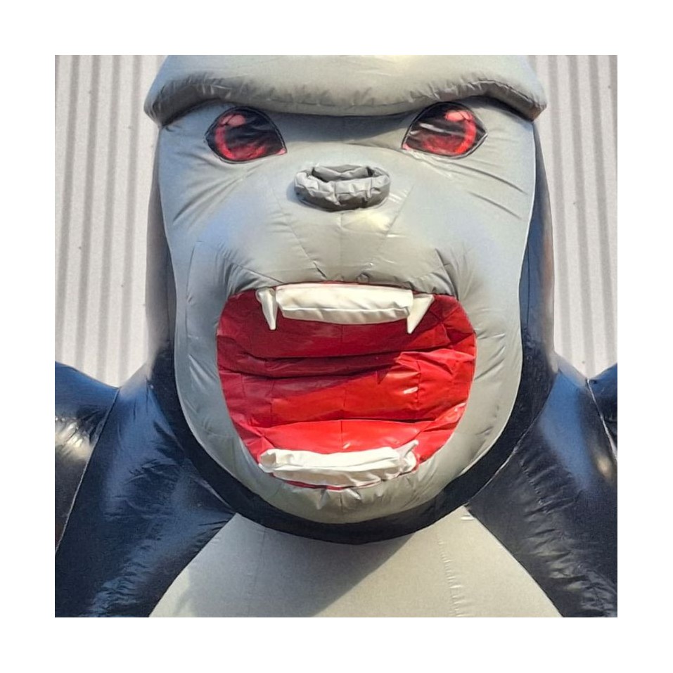 Second-hand King Kong Slide - 28126 - 4-cover