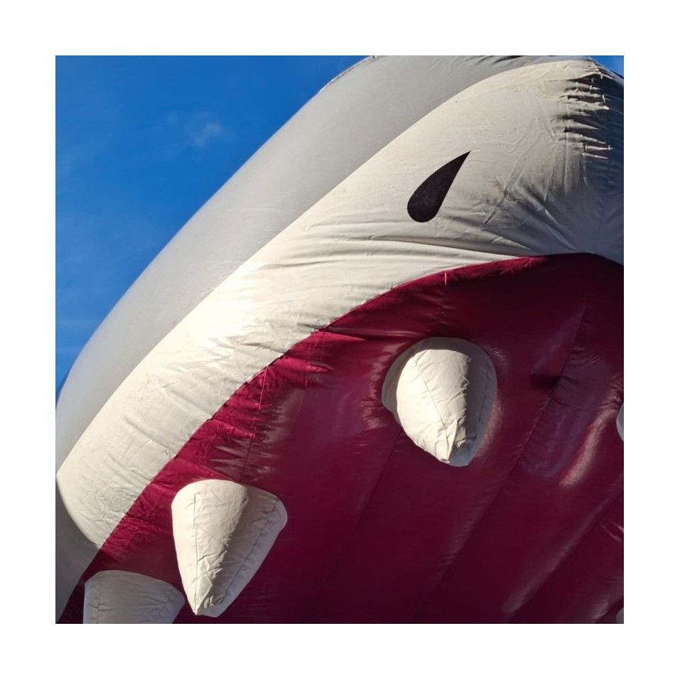 Gebrauchte Shark Slip ’n Slide Hüpfburg (Wasserrutsche) - 28297 - 7-cover