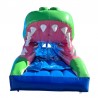 Gebrauchte aufblasbare Krokodil-Wasserrutsche (15 m) - 28510 - 2-thumbs