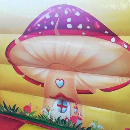 Mushroom Bouncy Castle