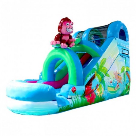 Marmoset Inflatable Slide - 49-cover