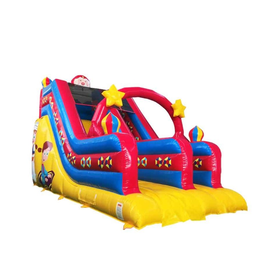 Wild Aladdin Inflatable Slide - 59-cover