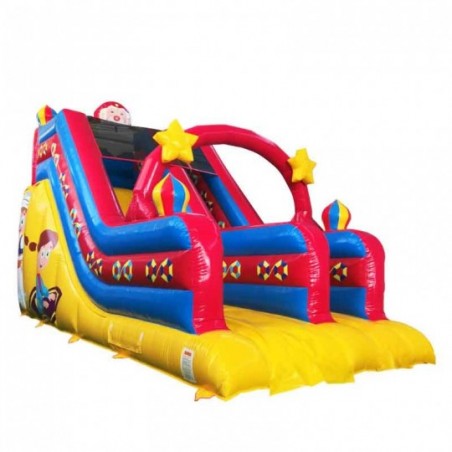 Wild Aladdin Inflatable Slide