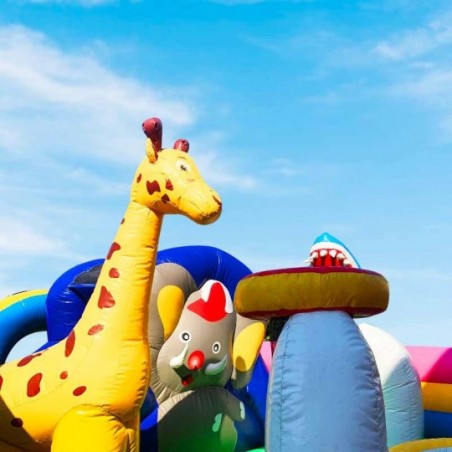 Animal Kingdom Inflatable Park - 13990 - 5-cover