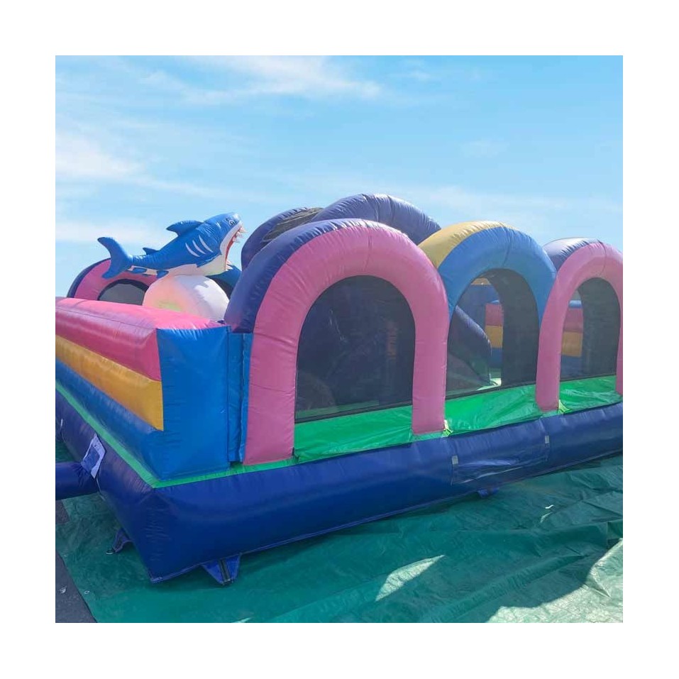 Animal Kingdom Inflatable Park - 13994 - 9-cover