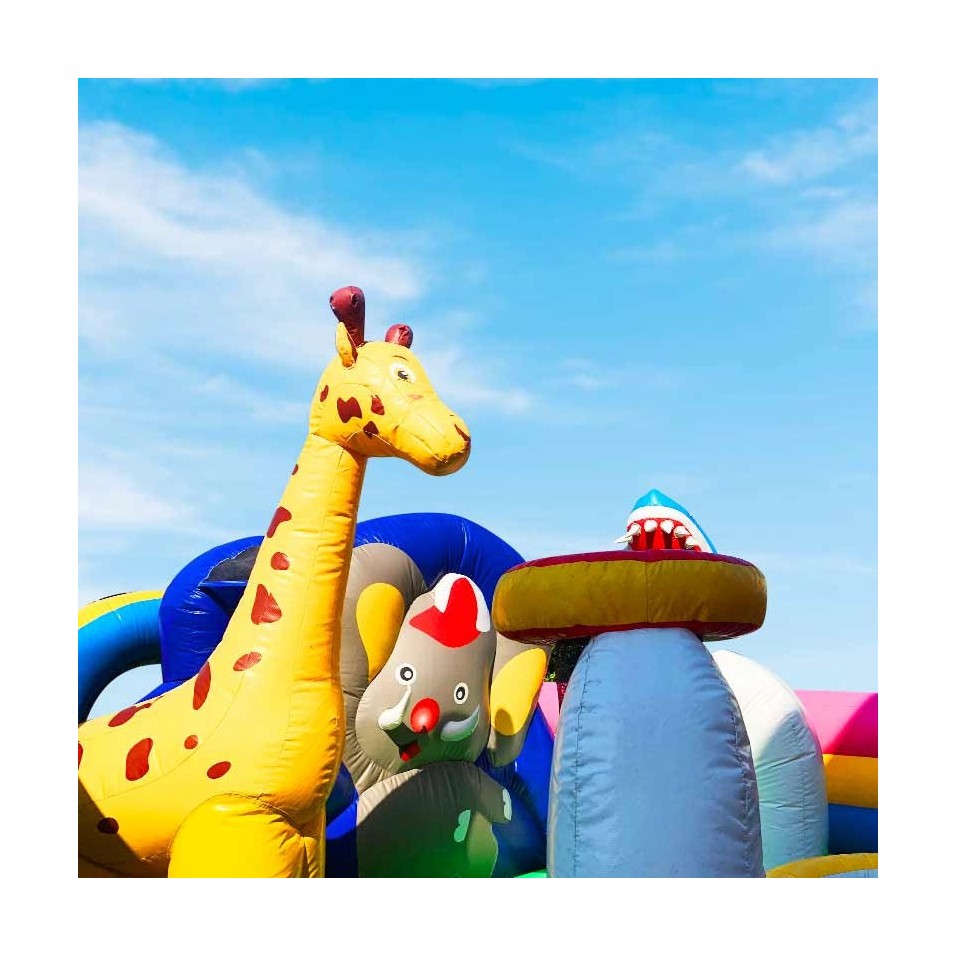 Second Hand Animal Kingdom Inflatable Park