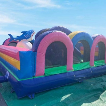 Second Hand Animal Kingdom Inflatable Park