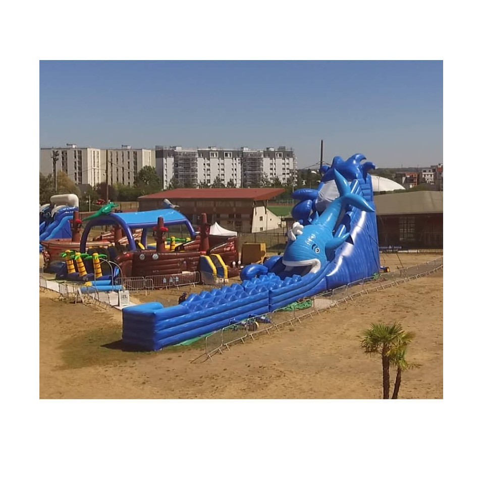 Second Hand Inflatable Water Slide Whale - 14489 - 3-cover