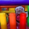 Second Hand Zoo Inflatable Obstacle Course - 14680 - 6-thumbs Second Hand Zoo Inflatable Obstacle Course - 14680 - 6-thumbs