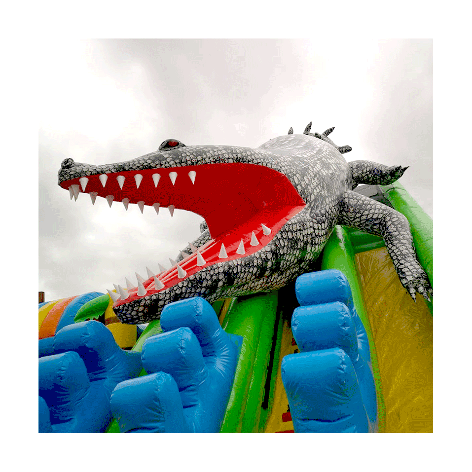 Second Hand Crocodile Inflatable Slide - 242-cover