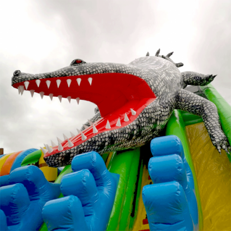 Second Hand Crocodile Inflatable Slide - 242-cover