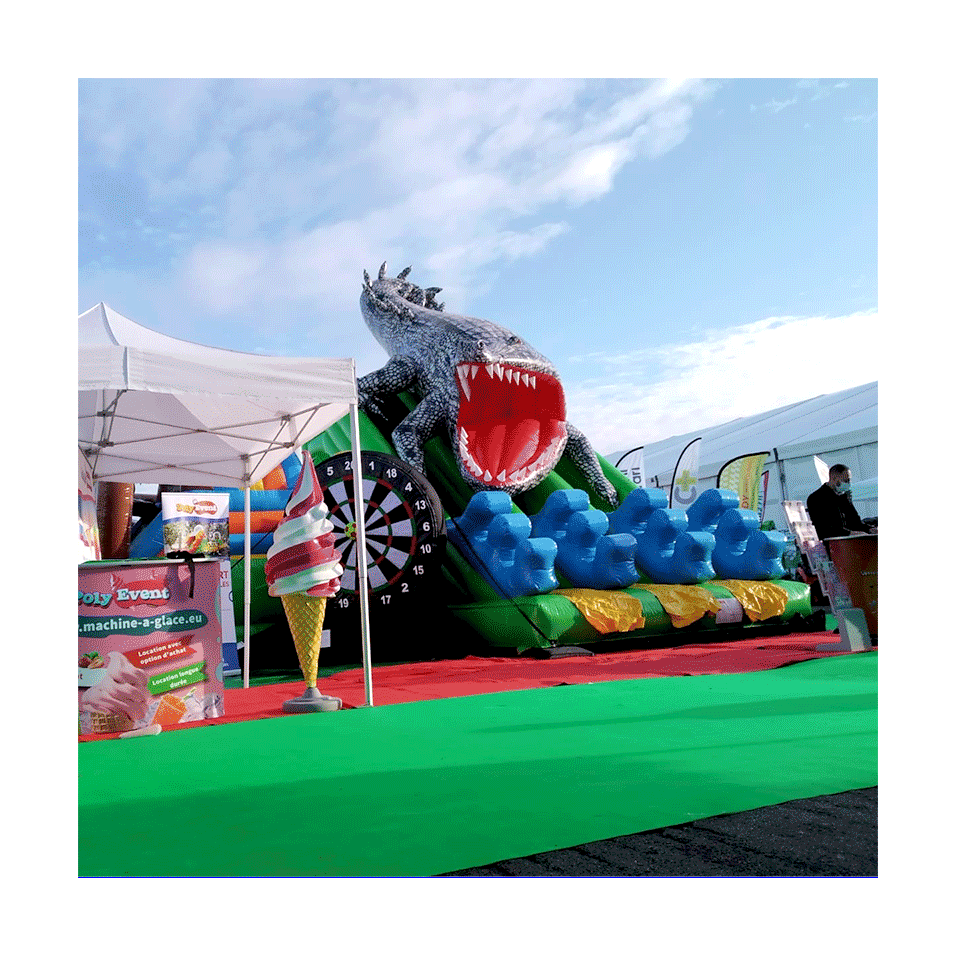 Second Hand Crocodile Inflatable Slide - 14697 - 1-cover