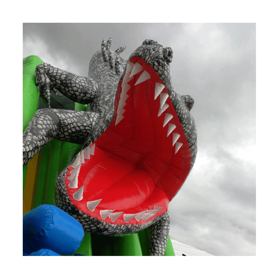 Second Hand Crocodile Inflatable Slide - 14698 - 2-cover