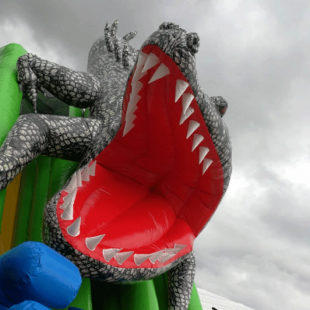 Second Hand Crocodile Inflatable Slide - 14698 - 2-cover