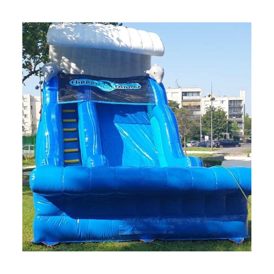 Second Hand Dolphin Inflatable Slide-cover Second Hand Dolphin Inflatable Slide - 248-cover