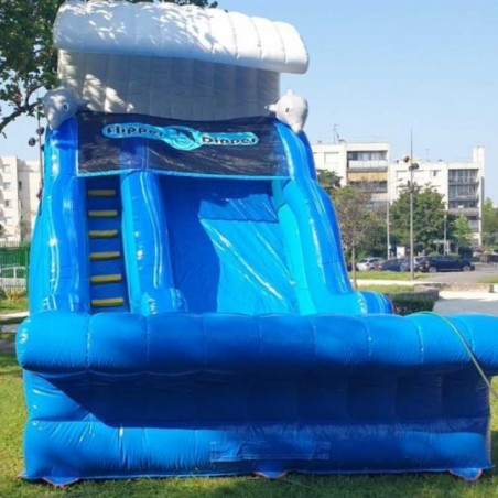 Second Hand Dolphin Inflatable Slide - 248-cover