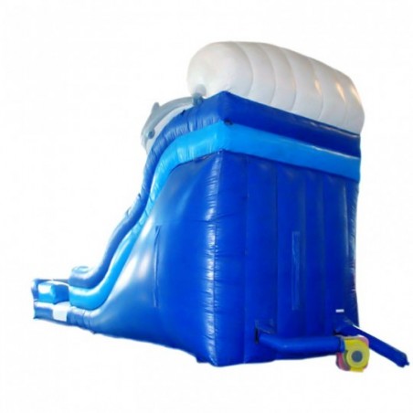 Second Hand Dolphin Inflatable Slide - 14731 - 3-cover