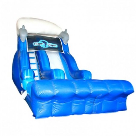 Dolphin Inflatable Water Slide - 299-cover