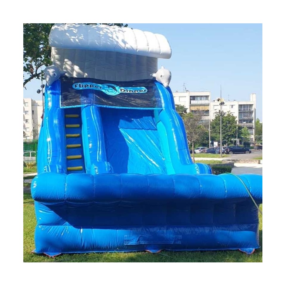 Dolphin Inflatable Water Slide - 14943 - 1-cover