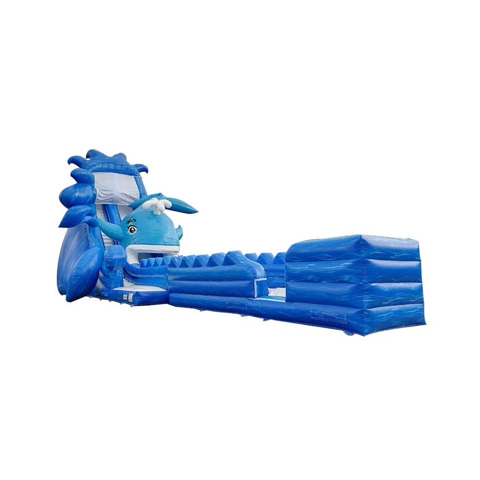 Whale Inflatable Water Slide - 307-cover