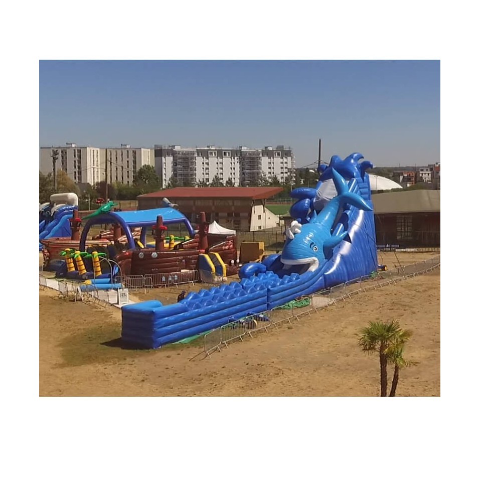 Whale Inflatable Water Slide - 14991 - 7-cover