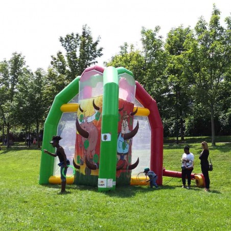 Second Hand Inflatable Ring Toss Game - 203-cover