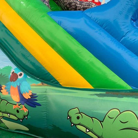 Crocodile Inflatable Slide