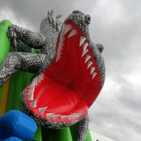 Crocodile Inflatable Slide - 21526 - 6-cover