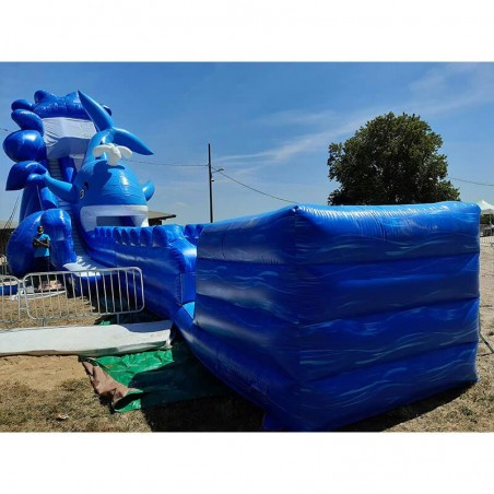 Second Hand Inflatable Water Slide Whale - 21652 - 1-cover