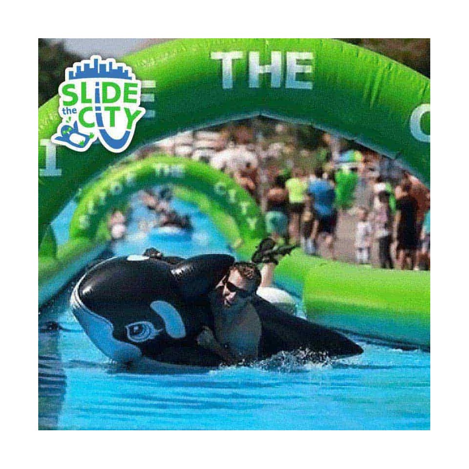Slip n Slide - Slide City 120m - 22136 - 7-cover