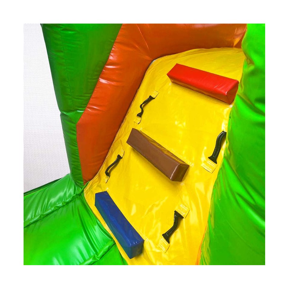 Lion Bouncy Castle - 22756 - 4-cover