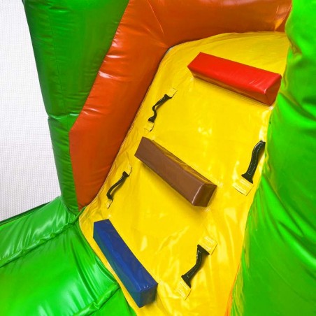 Lion Bouncy Castle - 22756 - 4-cover