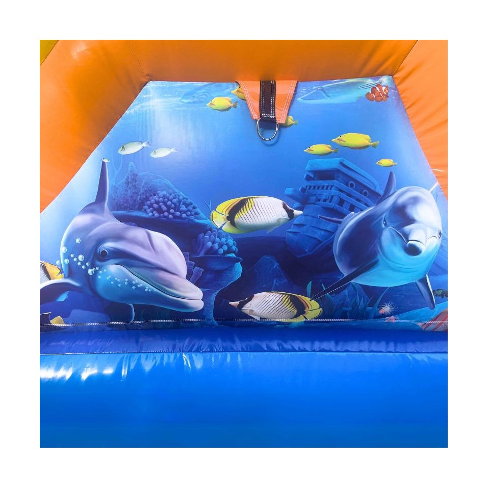 Fish Bouncy Castle - 22926 - 3-cover