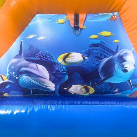 Fish Bouncy Castle - 22926 - 3-cover