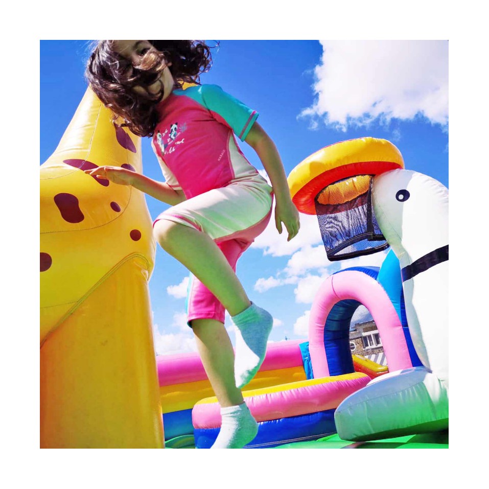 Animal Kingdom Inflatable Park - 26715 - 6-cover Animal Kingdom Inflatable Park - 26715 - 6-cover