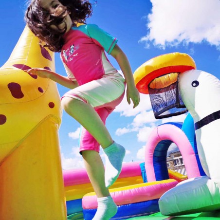Animal Kingdom Inflatable Park - 26715 - 6-cover