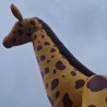 Second-hand Giraffe Bouncy Castle - 28268 - 4-thumbs