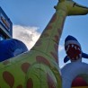 Second Hand Animal Kingdom Inflatable Park - 28380 - 11-thumbs