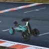 Kart Berg Buzzy Racing - 15879 - 1-thumbs Kart Berg Buzzy Racing - 15879 - 1-thumbs