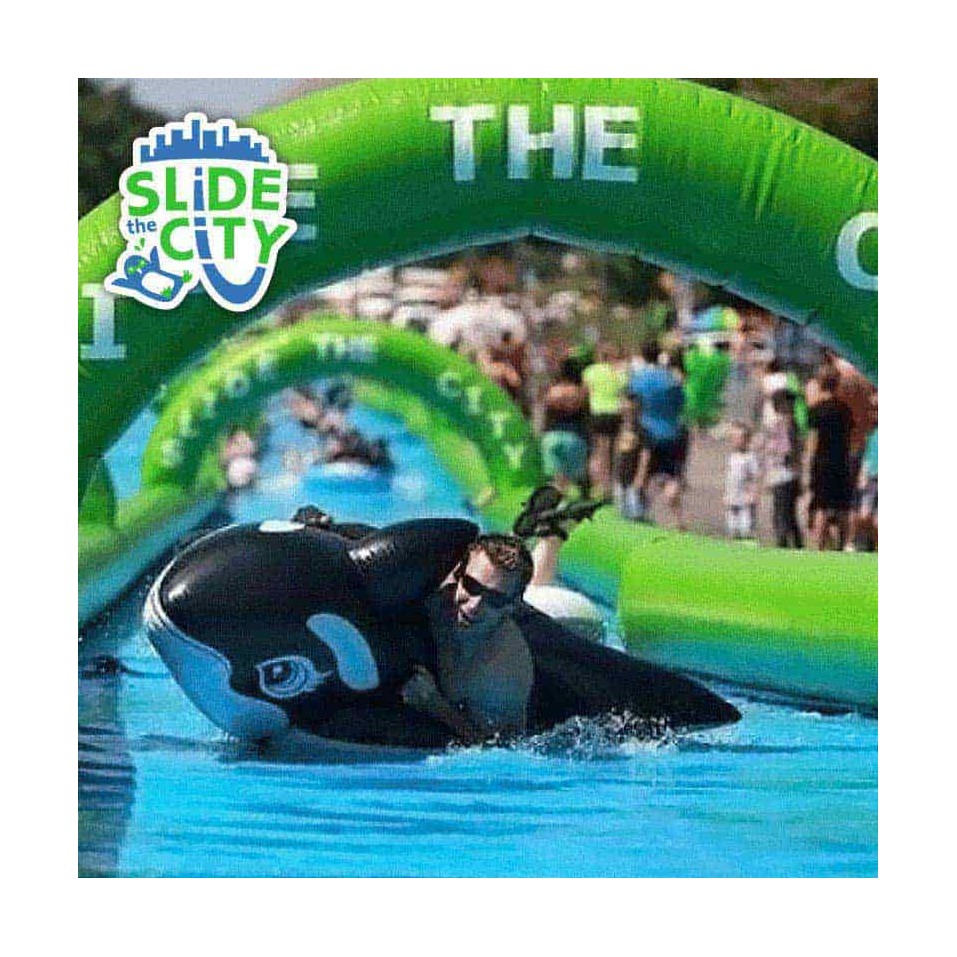 Pista Deslizante Gigante Slide City 40 m - 20485 - 7-cover