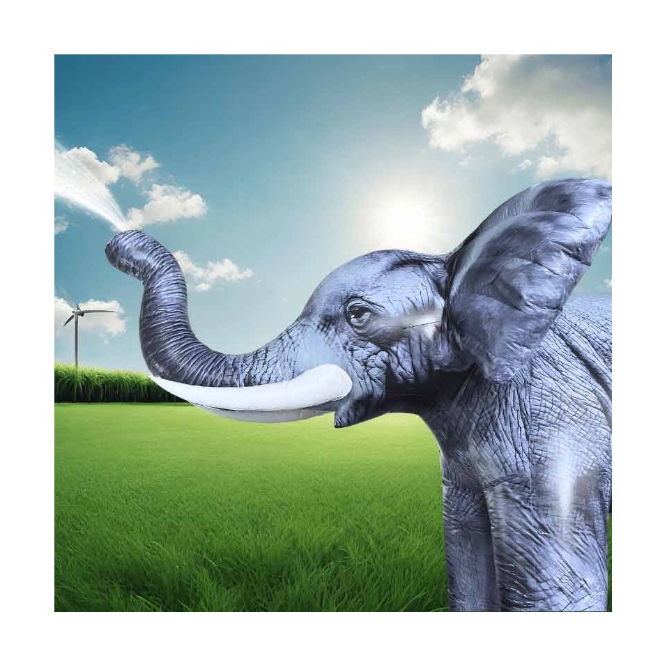 Spruzzatore Gonfiabile Per Esterni Elefante - 24813 - 1-cover Spruzzatore Gonfiabile Per Esterni Elefante - 24813 - 1-cover