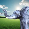 Spruzzatore Gonfiabile Per Esterni Elefante - 24813 - 1-thumbs Spruzzatore Gonfiabile Per Esterni Elefante - 24813 - 1-thumbs