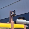 Percorso Gonfiabile Pirata - 26613 - 14-thumbs Percorso Gonfiabile Pirata - 26613 - 14-thumbs